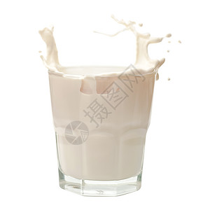 白色背景上隔绝的玻璃上的牛奶喷溅通量酸奶饮料奶制品奶油早餐溪流运动养分产品图片