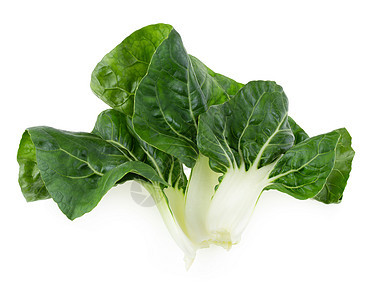 白色背景中孤立的生菜叶植物沙拉长叶工作室蔬菜食物叶子外邦莴苣绿色图片
