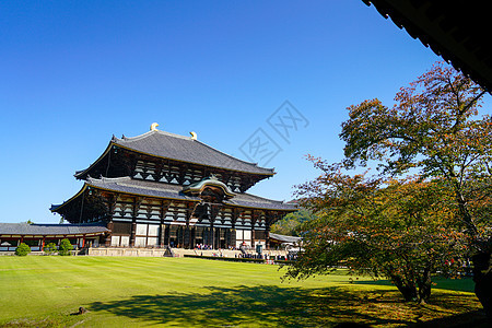 日本奈拉的Todaiji寺庙佛教徒城市遗产旅行文化游客观光宗教雕像建筑图片