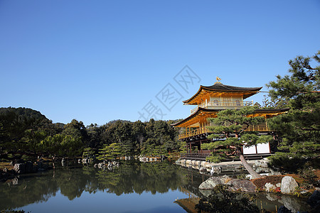 日本京都金宫寺庙金殿文化观光遗产公园旅游地标建筑建筑学游客历史性图片