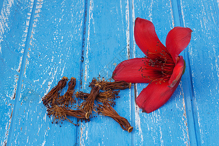 红棉树木上的红棉花花是种花瓣背景丝绸纹理园艺花园橙子木棉花朵植物图片