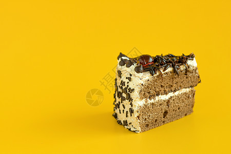 黄色小蛋糕黄色背景的巧克力蛋糕 复制空间美食生日盘子甜点乐趣食物蛋糕奶油水果面包背景