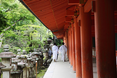 奈拉市的日本寺庙旅行神道崇拜历史观光建筑学吸引力蓝色天空旅游图片