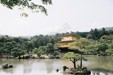 京都古代日本寺庙 有日本的青树叶建筑学电影文化神社公园房间橙子花园旅行木头图片
