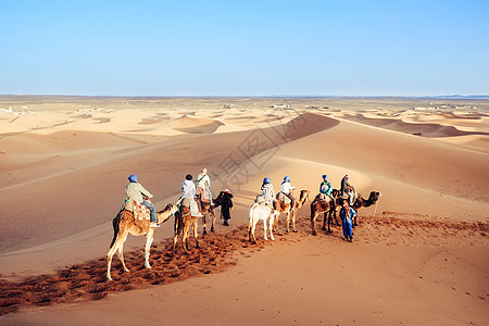在撒哈拉沙漠享受骆驼大篷车的旅游者图片