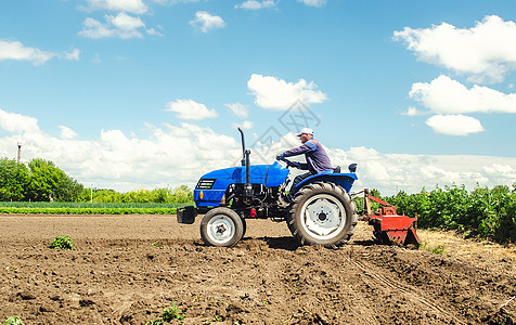 农民用铣床驾驶拖拉机 在种植园松开 研磨和混合土壤 新作物种植的田间准备 疏松地表 耕种土地 农业 农业除草地面企业工人流程农场图片