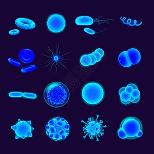 细菌现实矢量图标 se流感细胞蓝色生物实验室微生物感染科学病菌红细胞图片
