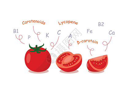 带有维生素和营养素的西红柿漂浮在顶部 与白色背景隔离蔬菜种子营养素解剖植物插图化学品食物水果饮食图片