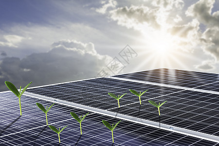 与橙色天空和绿色植物结合的太阳能板或太阳能电池组图片