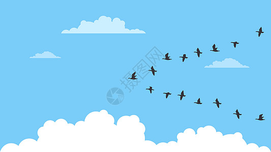 一群候鸟动物迁移平面背景国际翅膀设计荒野插图晴天图片