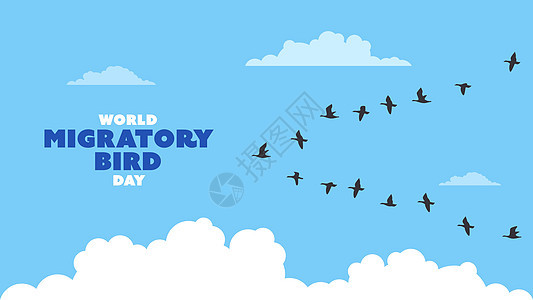 一群候鸟设计鸟群野生动物白色蓝天动物国际植绒黑色空气背景图片
