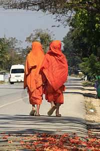新手在街上行走寺庙长袍传统旅行崇拜旅游和尚食物男人文化图片
