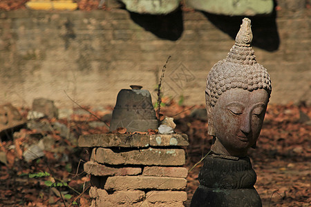 石头上的佛头艺术冥想信仰雕像寺庙雕塑建筑学旅行佛教徒精神图片