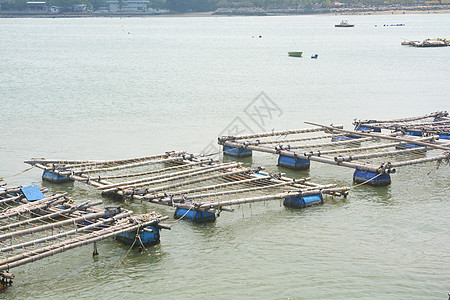 养鱼业苗圃渔业养殖贝类天堂食物生产商业海水风景图片