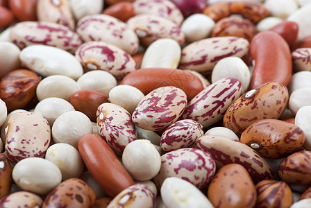 不同品种和颜色的哈利果豆粮食圆形豆类白色扁豆蔬菜红色食物图片