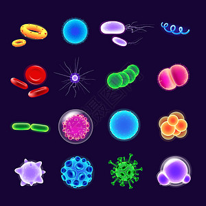 细菌现实矢量图标 se科学流感显微镜细胞药品网络收藏生物学微生物学病原图片