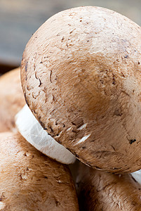菇菌布朗香皮尼翁棕色油菜生活食物木头蔬菜宏观白色背景