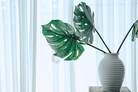 在陶瓷花瓶旁的植物 透过纯玻璃窗看 c窗户制品环境叶子生长情调绿色窗帘树叶林木图片