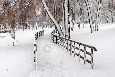 基辅纳塔卡公园被雪覆盖的木环脚桥图片