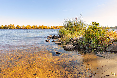 在基埃Dnieper河附近看到柳树和反射芦苇阳光海岸岩石橙子季节场景天空树木图片