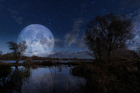 月亮树登尼珀河上的月亮背景