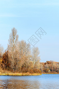 秋天Dnieper河附近的树木反射天空季节多云阳光森林池塘橡木桦木图片
