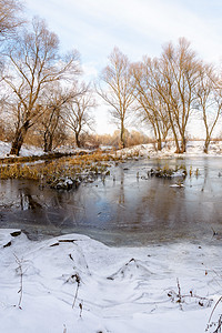 靠近第尼佩尔河的冬季树天空香蒲棕褐色芦苇烟草池塘橡木反射季节阳光图片