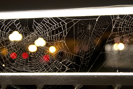 蜘蛛网的宏蜘蛛栏杆照明宏观背景织带城市漏洞背景图片
