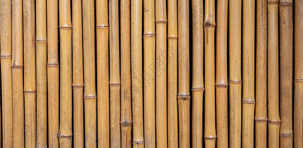 泰国风格的竹屋墙正方形生长地面热带材料装饰栅栏文化森林全景背景图片