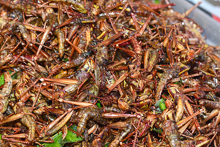 曼谷的炒虫小吃市场街道蝎子异国营养昆虫情调竹虫蚁后图片