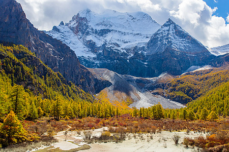 在Yading自然的秋天森林和雪山中多姿多彩旅行环境公园松树国家风景旗帜顶峰旅游爬坡图片