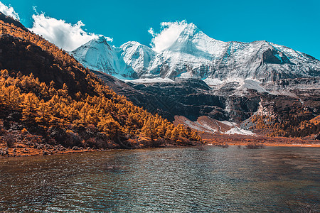 在Yading自然的秋天森林和雪山中多姿多彩环境背包蓝色公园远足旅游爬坡松树国家风景图片