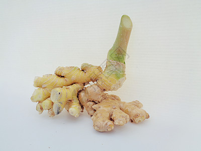 白色背景的苦姜 苦姜也称为 awapuhi lempuyang 和 在各种菜系食品中用作食品调味剂和开胃剂花园食物丛林根茎植物群图片
