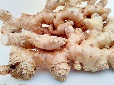 白色背景的苦姜 苦姜也称为 awapuhi lempuyang 和 在各种菜系食品中用作食品调味剂和开胃剂热带植物叶子植物学花瓣图片
