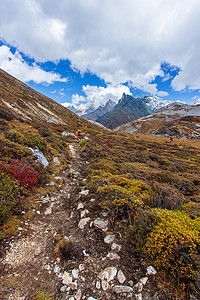 在Yading自然的秋天森林和雪山中多姿多彩季节旅行背包远足冰川天空顶峰吸引力风景蓝色图片