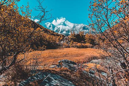 珍珠湖或Zhuoma La湖和秋天Yadi雪山假期森林叶子背景环境旅游旅行晴天爬坡天空图片