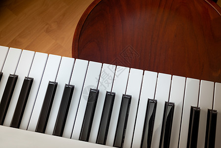 音乐键盘的黑白键合成器音乐家工作室电子钥匙娱乐艺术流行音乐旋律琴键图片