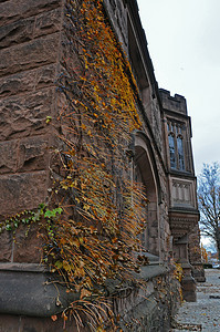 新泽西州普林斯顿 2011 年 11 月 15 日 普林斯顿大学是 Priva学院大厅校园传统研究教育机构球衣本科学校大学本科高清图片素材