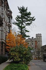 新泽西州普林斯顿 2011 年 11 月 15 日 普林斯顿大学是 Priva大学教育历史性建筑机构大厅研究联盟学生报告图片