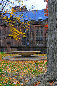 新泽西州普林斯顿 2011 年 11 月 15 日 普林斯顿大学是 Priva学校历史性学院建筑学球衣机构校园传统本科大厅团结的高清图片素材