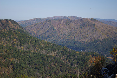 大森林山谷 从上而下 徒步在山中薄雾林业风景生物学山脉天线生物场景公园丘陵图片