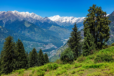 印度喜马拉雅山脉Kullu山谷的春春 喜马拉雅山风景草地景观农作物村庄高山风光场地草甸山脉图片