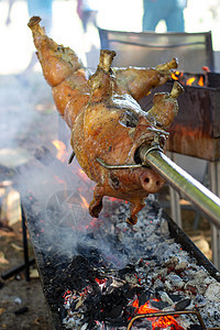 吐口水的烤猪 德国的猪烹饪传统猪肉宴会烧烤小猪食物余烬庆典文化木炭图片