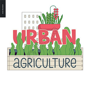 城市农业和园艺日志花盆甲板基础设施土壤生长文化盒子方法矿物叶子图片