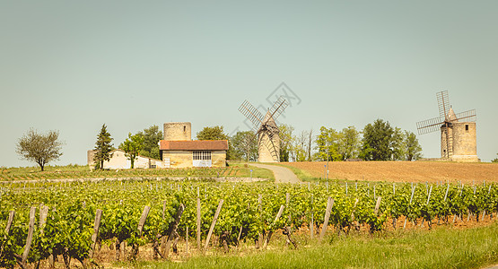 法国圣埃米利奥恩附近葡萄树后面的旧风车历史性天空藤蔓农场建筑地区纪念碑太阳石头旅行图片