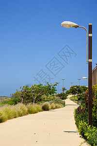 赫特公园海滩公园支撑城市海法绿色铁路人行道长廊天空背景图片