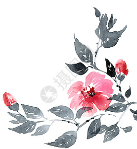 水彩花朵布花树分支花序艺术品艺术手工李子树叶植物罪恶花园绘画背景