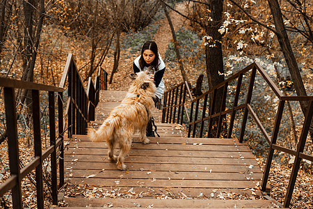 动物训练 一名志愿者女孩从动物收容所带着一只狗散步 在秋天的公园里带着狗的女孩 和狗一起散步 照顾动物宠物猎犬跑步闲暇小路朋友们图片