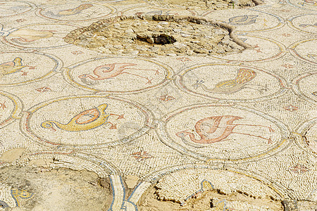拜占庭皇宫的马赛克地板 凯撒拉考古学纪念碑动物吸引力地面艺术文化古董历史旅游背景图片