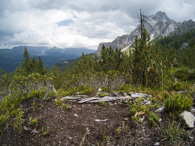 山顶的草地和草地 多洛米特·穆坦斯风景美观 以及一片灰色森林 意大利南蒂罗尔 阿尔普(Alp)被动作摄像头拍下图片